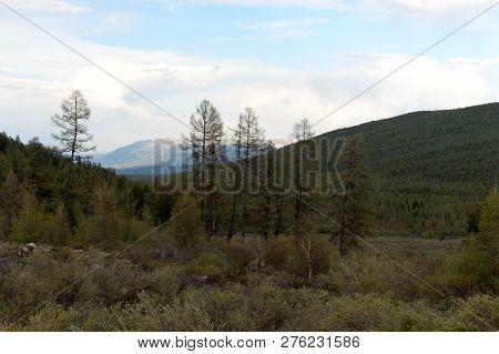 Mountain Landscape In The Ulagan District Of The Altai Republic