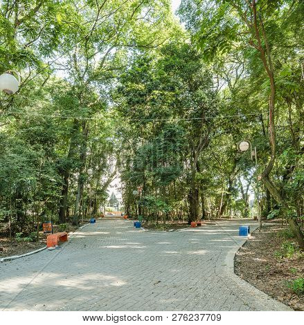 Square Surrounded By Tall Trees, Some Benches To Seat On Downtown Of Londrina City. Bosque Marechal 