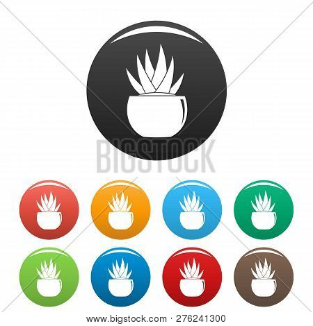 Round Pot Aloe Icons Set 9 Color Vector Isolated On White For Any Design