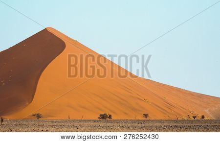 The Sand Dunes Of The Namibian Desert Southern Africa.