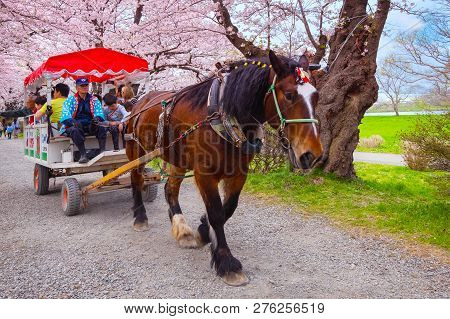 Iwate , Japan - April 22 2018: A Horse Carriage Carry A Group Of Tourists Rolls Through The Tunnel O