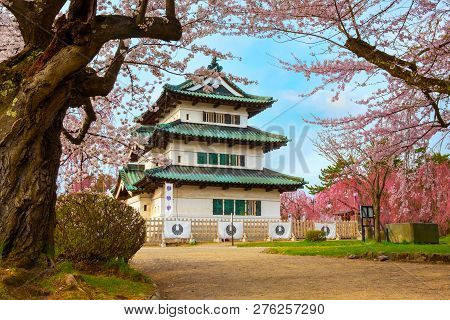 Hirosaki, Japan - April 23 2018: Sakura - Cherry Blossom Full Bloom At Hirosaki Castle In Hirosaki P
