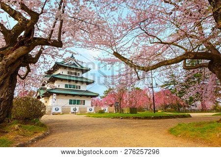 Hirosaki, Japan - April 23 2018: Sakura - Cherry Blossom Full Bloom At Hirosaki Castle In Hirosaki P
