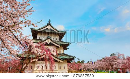 Hirosaki, Japan - April 23 2018: Sakura - Cherry Blossom Full Bloom At Hirosaki Castle In Hirosaki P
