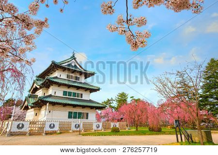 Hirosaki, Japan - April 23 2018: Sakura - Cherry Blossom Full Bloom At Hirosaki Castle In Hirosaki P