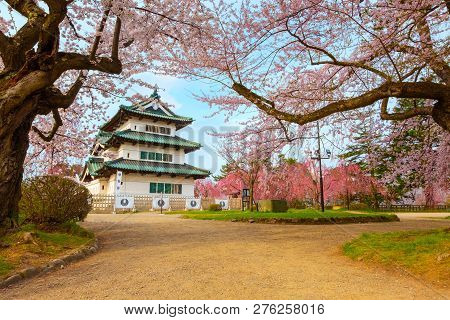 Hirosaki, Japan - April 23 2018: Sakura - Cherry Blossom Full Bloom At Hirosaki Castle In Hirosaki P