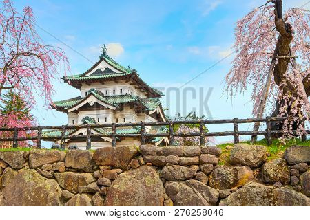 Hirosaki, Japan - April 23 2018: Sakura - Cherry Blossom Full Bloom At Hirosaki Castle In Hirosaki P
