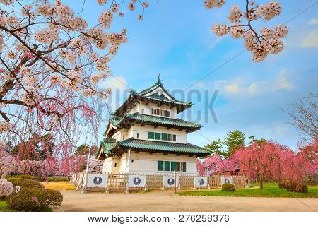 Hirosaki, Japan - April 23 2018: Sakura - Cherry Blossom Full Bloom At Hirosaki Castle In Hirosaki P