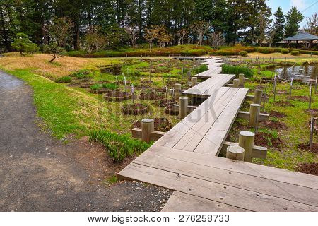 Hirosaki, Japan - April 23 2018: The Fujita Memorial Japanese Garden Built In 1919 In Japanese Tradi