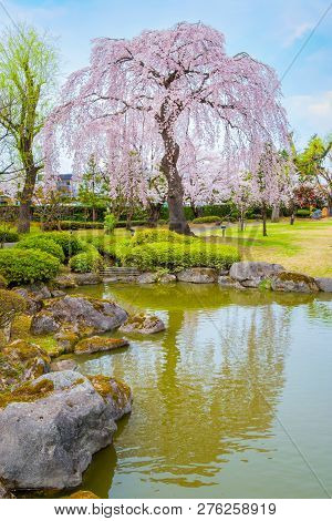 Hirosaki, Japan - April 23 2018: The Fujita Memorial Japanese Garden Built In 1919 In Japanese Tradi