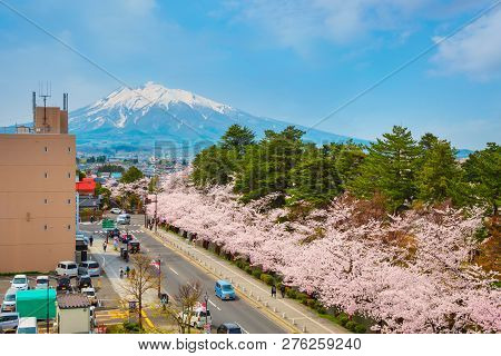 Hirosaki, Japan - April 23 2018: Hirosaki Municipal Hall Is One Of The Best Spot Viewing Cherry Blos