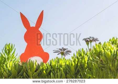 Creative Easter Concept Photo Of Red Paper Rabbit In The Chamomile Flowers And Green Grass On The Bl