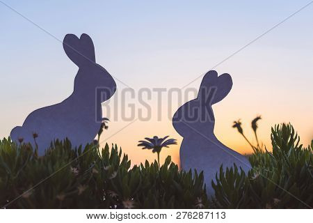 Creative  Photo Of Two Silhouette Paper Rabbits In The Chamomile Flowers And Green Grass On The Suns