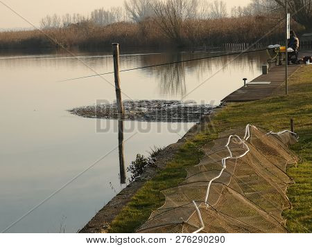 Park Of Mincio Rivalta Sul Mincio Mantua Lombardy Italy