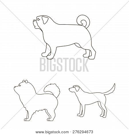 Vector Design Of Cute And Puppy Sign. Collection Of Cute And Animal Vector Icon For Stock.