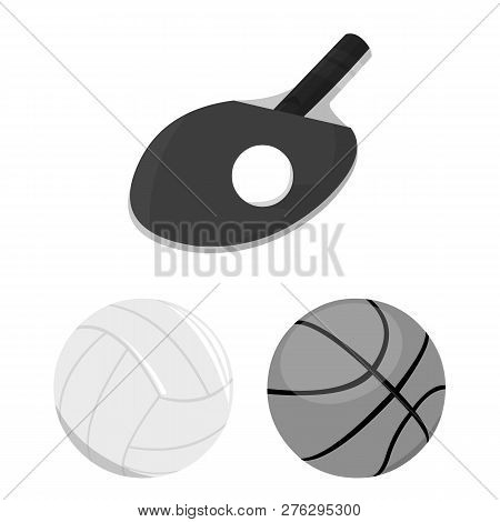 Vector Illustration Of Ball And Soccer Sign. Collection Of Ball And Basketball Stock Vector Illustra