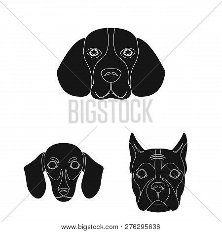 Vector Design Of Cute And Puppy Icon. Set Of Cute And Animal Stock Vector Illustration.