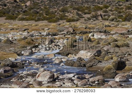 Frozen Pools In A Wetland Along A Tributary Of The River Lauca High On The Altiplano Of Northern Chi