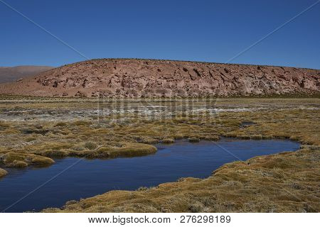 Wetland Along A Tributary Of The River Lauca High On The Altiplano Of Northern Chile In Lauca Nation