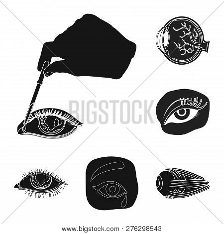 Vector Design Of Medical And Eyeball Logo. Collection Of Medical And Optical Vector Icon For Stock.