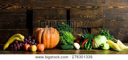 Autumn Harvest Organic Crops Pumpkin Corn Vegetables. Vegetables From Garden Or Farm Close Up. Homeg