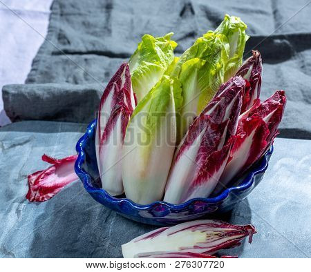 Group Of Fresh Green Belgian Endive Or Chicory And Red Radicchio Vegetables, Also Known As Witlof Sa