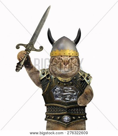 The Cat Knight In A Helmet And A Cuirass Holds A Sword. White Background.