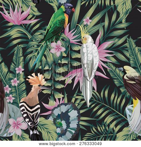 Tropical Birds Parrot, Hoopoe, Plants Leaves Flowers Frangipani (plumeria) Abstract Color Black Back