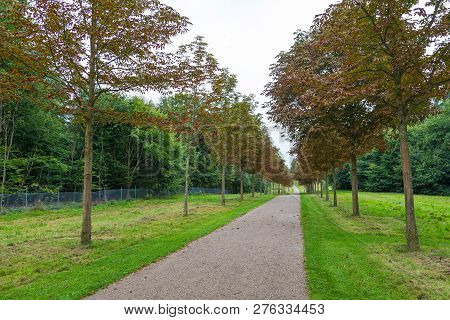 Long Avenue In Palace Gardens. The Largest Historical Gardens In The Baroque Style, Fredensborg, Den