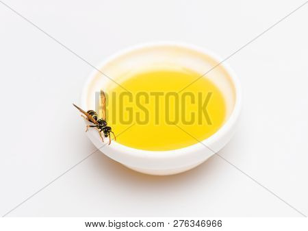 Bee Or Wasp On Cup Of Honey White Background. Sweet Natural Nectar. Healthy Food And Lifestyle Conce