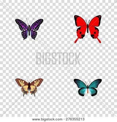 Set Of Moth Realistic Symbols With Striped Purple Crow, Archippus, Checkerspot And Other Icons For Y