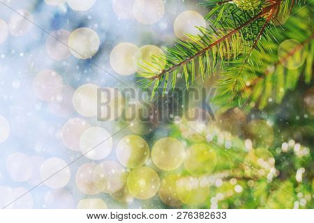 Blue Christmas Green Tree In Vintage Style On Color And White Blur Bokeh Background. Evergreen Pine 