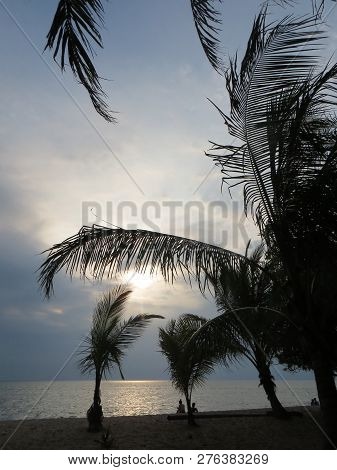 Anyer, Indonesia - June 24, 2018: Background Of Palm Trees At Sambolo Beach Anyer.