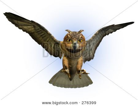Buho Swooping abajo