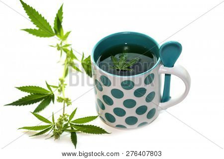 Hemp Tea. Marijuana Tea in a Tea Cup with a Cannabis Leaf and a Stem with Leaves and Flowers. Isolated on white. Room for text. 