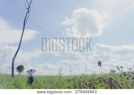 The Girl Is Traveling In The Grass Field Desho Grass.