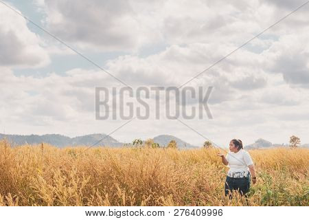 The Girl Is Traveling In The Grass Field Desho Grass.