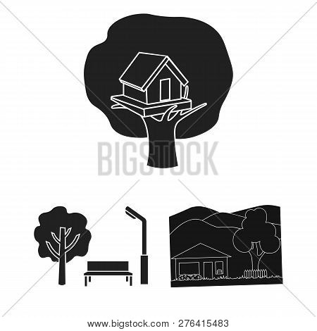 Vector Design Of Tree  And Forest Icon. Set Of Tree  And Green Stock Vector Illustration.