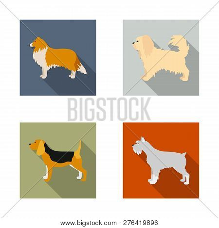 Vector Design Of Cute And Puppy Sign. Set Of Cute And Animal Stock Vector Illustration.