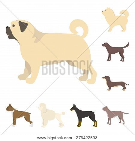 Vector Design Of Cute And Puppy Icon. Set Of Cute And Animal Stock Symbol For Web.