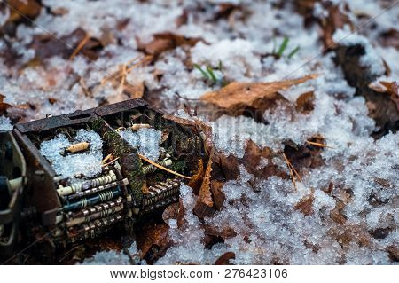 Old Tv Tuner Channel Selector With Moss And Snow In The Forest
