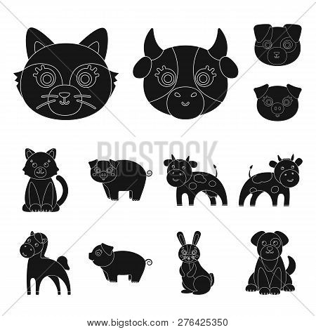 Vector Design Of Animal And Habitat Icon. Set Of Animal And Farm Stock Vector Illustration.