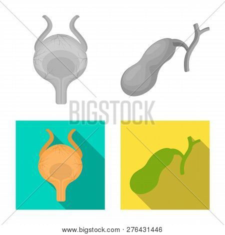 Vector Design Of Body And Human Icon. Set Of Body And Medical Vector Icon For Stock.