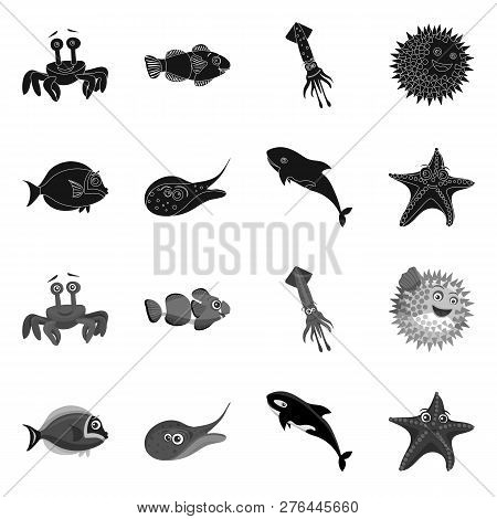 Isolated Object Of Sea And Animal Symbol. Set Of Sea And Marine Stock Symbol For Web.