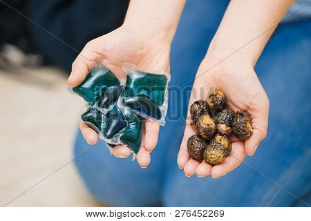 Woman Hands Comparing Washing Laundry Nuts And Chemicals Detergent Blue Pods. Alternative Household 