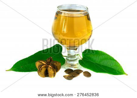 Sacha Inchi, Fresh Capsule Seeds Fruit Of Sacha-inchi Peanut With  Tea