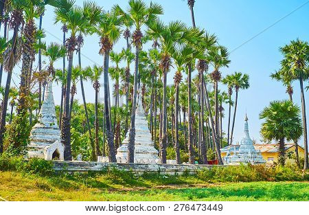 Enjoy The Tropic Garden Of Bagaya Monastery With A View On Medieval White Stupas Behind The Palms, A
