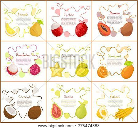 Pomelo And Lychee, Mango Tropical Fruit Slices And Carambola Star. Posters Set With Text Sample, Coc