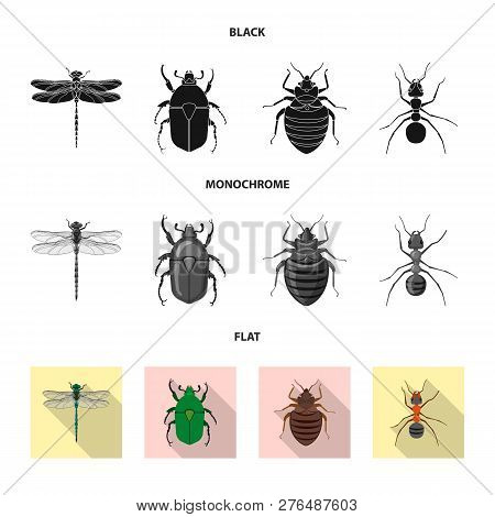 Isolated Object Of Insect And Fly Logo. Collection Of Insect And Element Vector Icon For Stock.