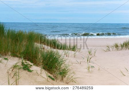 High Seashore, Steep Sea Coast Of The Baltic Sea